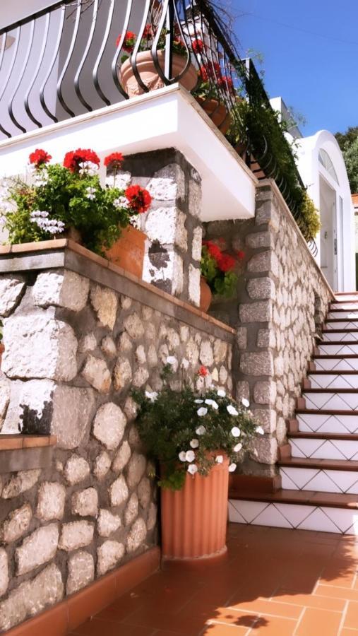 Marvelous Sea View Villa Κάπρι Εξωτερικό φωτογραφία